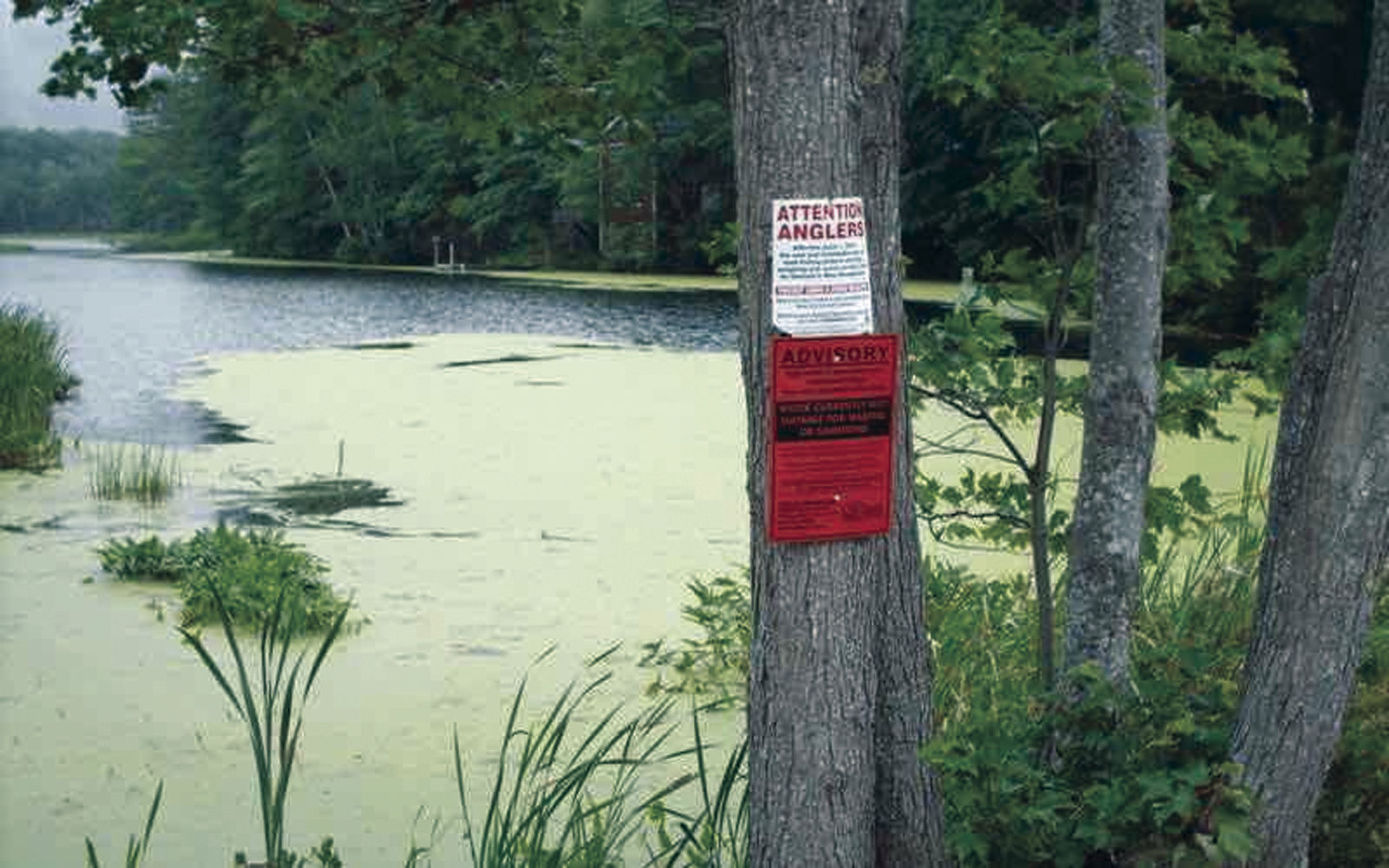 Community leaders want state to limit pollution from hatchery